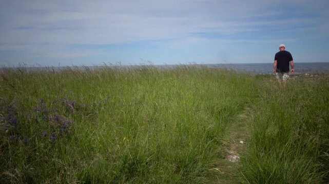 Lange Erik, Sweden A man walks on the rocky and grassy Baltic Sea shore on the northern tip of the Oland island in summer.