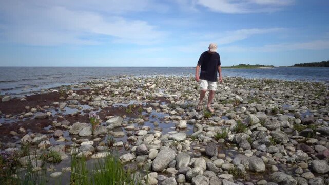Lange Erik, Sweden A man walks on the rocky and grassy Baltic Sea shore on the northern tip of the Oland island in summer.