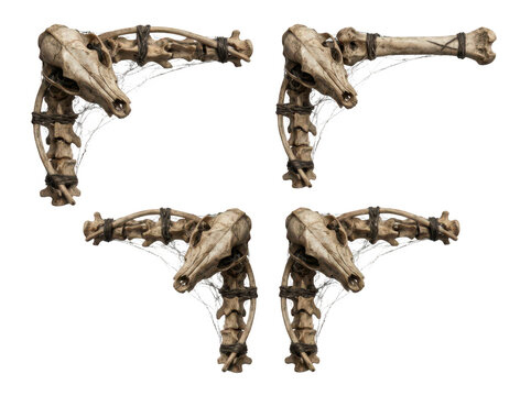 Set of four spooky animal bone corners isolated on transparent background