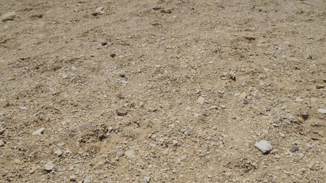 Slow motion 4K footage of a rocky desert surface in Egypt, featuring scattered stones, gravel, and natural sandy texture under bright sunlight.