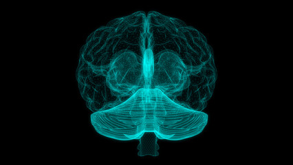 Digital brain structure line hologram science scan creativity virtual © JOJO.FN&CO.COM