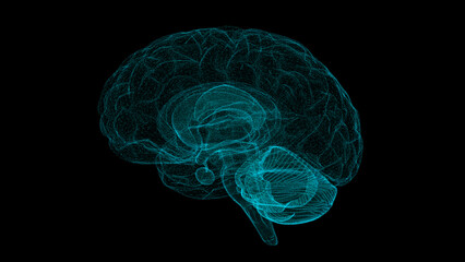 Digital brain structure line hologram science scan creativity virtual © JOJO.FN&CO.COM