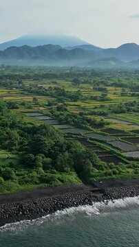 Aerial coastal fields beneath misty volcano, broad patchwork paddies meeting surf, distant mountain ridges shrouded in haze, tranquil rural panorama, sustainable agriculture visual,Bali,Indonesia