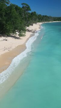 Secluded turquoise bay with empty sand panorama of untouched coastline dense canopy lining shore clear shallow water gentle surf remote tropical sanctuary azure sky, Alas Purwo, National Park, Java