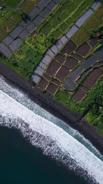 Aerial village edge coastal farms, homestead roofs peeking among terraces, narrow paths carving mosaic plots, pebbled shoreline and foamy surf, intimate rural scene emphasizing,Bali,vertical video
