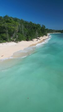 Lush tropical coastline with crystal water aerial view of winding shore framed by tall trees and vibrant canopy serene turquoise sea soft sand conservation area feel peaceful