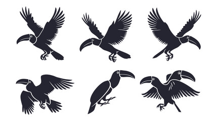 Obraz premium Toucan bird silhouette collection, set of 6 tropical hornbill vector icons, black exotic bird flying and perched poses for logo design