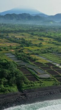 Aerial Bali coastline rice terraces ocean waves lush green farms and paddy fields meet rolling surf, volcanic mountains rising in background, morning mist and soft light, textured, Indonesia