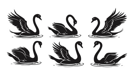 Obraz premium Black swan silhouette vector set, elegant waterfowl icons in various poses, 6 graceful bird illustrations for logo design and branding