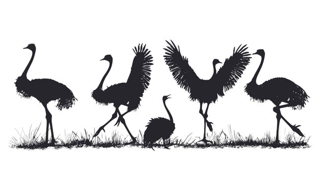 Ostrich silhouette collection in the wild, black bird silhouettes standing in grass, african wildlife ostrich vector set for nature design