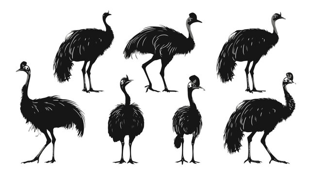 Vintage ostrich silhouette collection, black emu and cassowary bird vector set, 7 flightless bird icons for nature and wildlife design