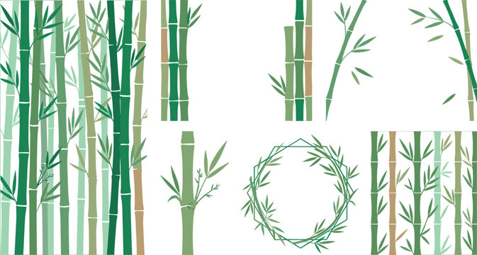 Green Bamboo Forest Background and Botanical Vector Element Set with Stalks Branches Leaves and Wreath Frame for Asian Style Nature Designs