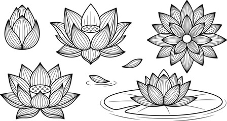Lotus flower water lily vector icon set with blooming petals bud and lily pad pond line art © AKTAR