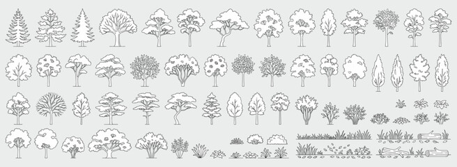 Architectural tree elevation set with minimal CAD line drawings, side view forest plants and wildlife outlines for landscape plans, sections and garden design vector illustration © JIm Studio