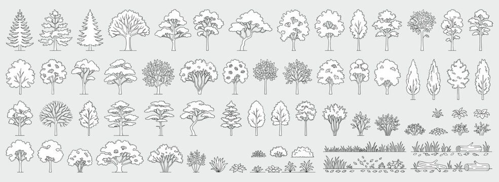 Architectural tree elevation set with minimal CAD line drawings, side view forest plants and wildlife outlines for landscape plans, sections and garden design vector illustration