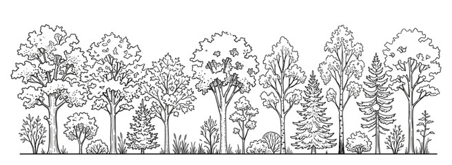 Minimal CAD tree outline set with side view elevations, wetland woodland sections, architectural vegetation and landscape planning vector drawings © JIm Studio