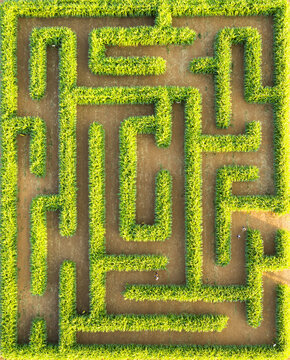 Aerial view of a green corn maze with intricate pathways and people walking through, set in a rural field in Hod Hasharon, Center District, Israel.
