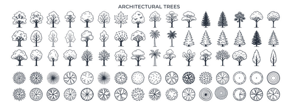 Landscape tree vector collection with plan and elevation views for architectural drawings, urban planning, CAD blocks and site design