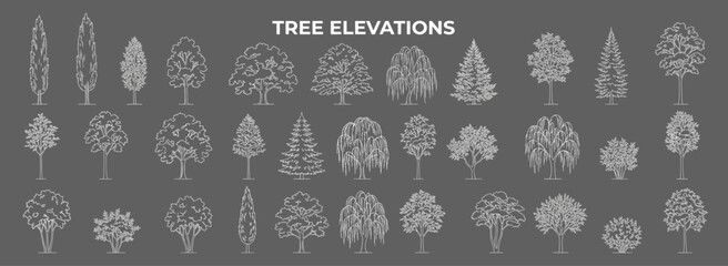 Naklejka premium Architectural tree vector collection in elevation view for landscape plans, CAD drawings, site layouts, garden design, botanical boards and construction presentations