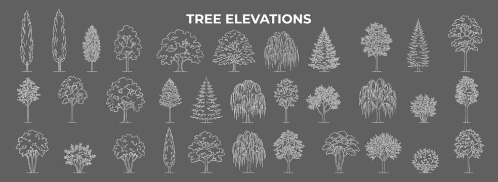Architectural tree vector collection in elevation view for landscape plans, CAD drawings, site layouts, garden design, botanical boards and construction presentations