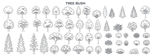 Fototapeta premium Architectural trees, shrubs and bushes in elevation view, landscape vegetation collection for exterior drawings, garden plans and presentation vector illustration
