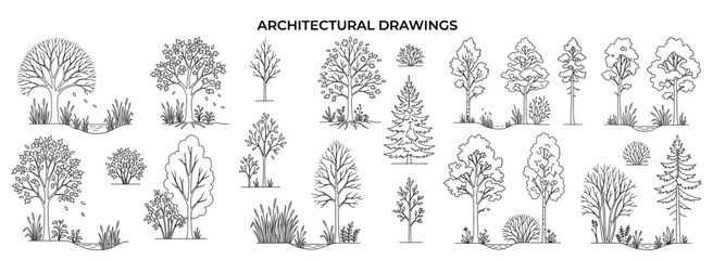 Architectural autumn tree and wetland forest CAD drawing collection in side elevation with minimal outline vegetation for landscape plans, garden layouts and environmental design. Vector. © JIm Studio