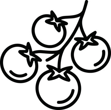 Hand-drawn illustration of ripe tomatoes on a vine, simple line art, healthy food concept