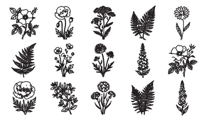 Vintage botanical linocut illustrations, set of 15 hand drawn floral vector icons, rustic black ink wildflower and fern leaf silhouettes for wedding stationery © Rehman