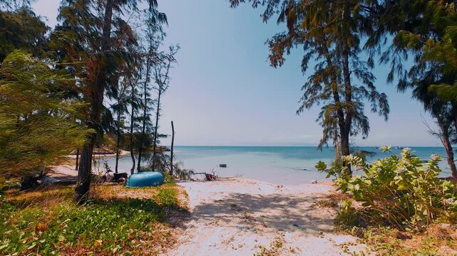 Sandy Path Framed by Trees Leading to Calm Tropical Beach