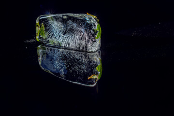  Piece of ice, mint leaf inside. Black reflective surface, low key. Close up of frozen herb for beverage cooling and refreshing organic cocktail concept. © Lassi M