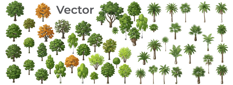 Dimensional isometric tree collection featuring tropical palms and deciduous greenery with soft shadows for landscape architecture, urban planning and exterior visualization