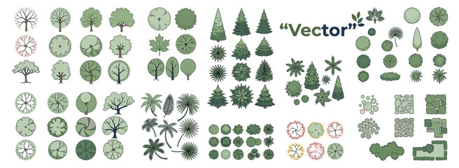 Landscape architecture tree plan symbol set with top view greenery, site planning, master plan, blueprint, botanical, landscaping and technical drawing vector illustration © JIm Studio