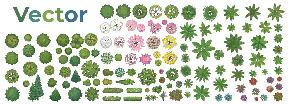 Overhead Trees, Flowers and Tropical Plants for Architectural Site Plans, Landscape Mapping, Garden Layouts and Outdoor Environment Design, Clean Vector Collection