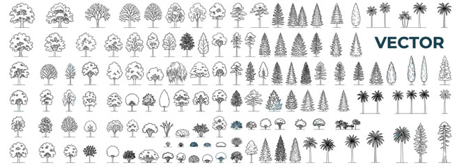 Architectural Tree Outline Vector Collection with Clean Side View Landscape Trees, CAD Linework, Vegetation Symbols and Elevation Elements for Site Plans © JIm Studio