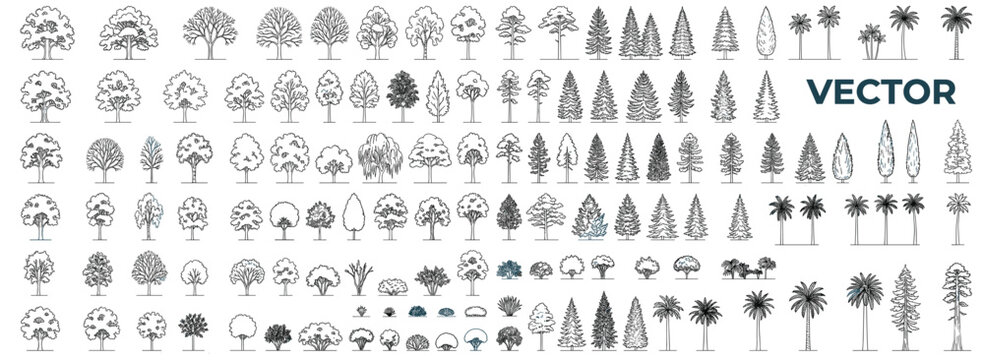 Architectural Tree Outline Vector Collection with Clean Side View Landscape Trees, CAD Linework, Vegetation Symbols and Elevation Elements for Site Plans