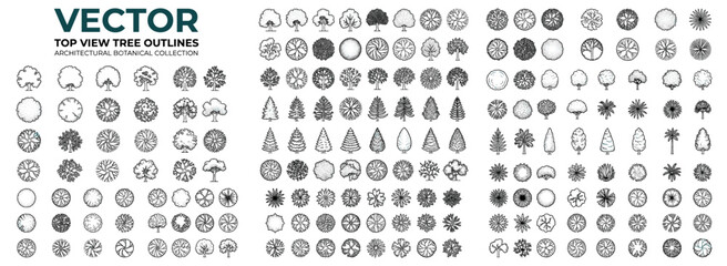 Obraz premium Top view tree outline collection with diverse botanical silhouettes, aerial foliage and plant symbols for architectural plans, landscape maps, garden layouts and site design