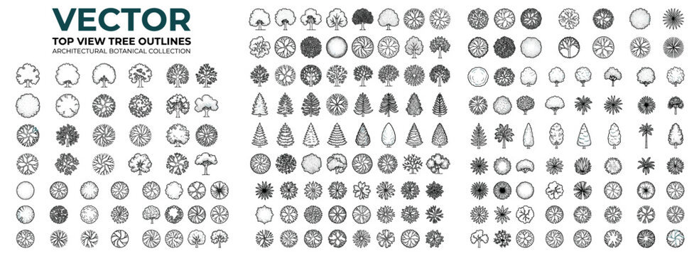 Top view tree outline collection with diverse botanical silhouettes, aerial foliage and plant symbols for architectural plans, landscape maps, garden layouts and site design