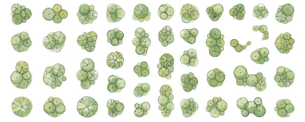 Top view tree cluster symbols for landscape architecture, garden planning, site design, park layouts, urban greenery and natural vegetation vector illustration © JIm Studio