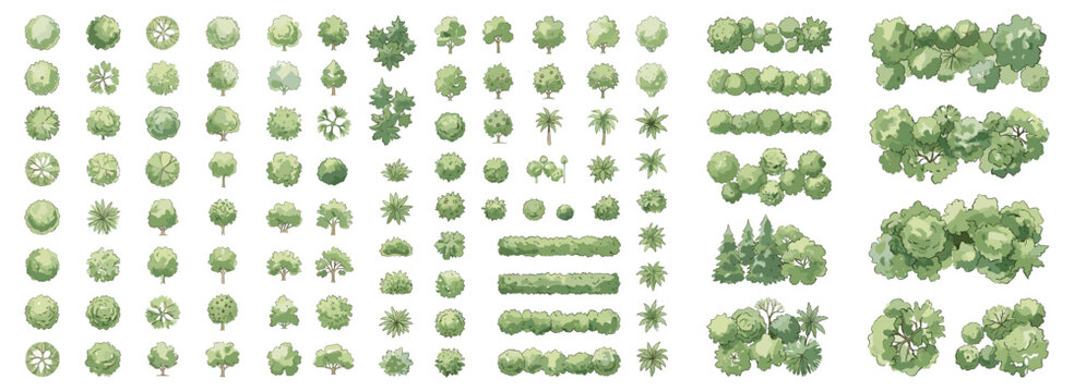 Green Watercolor Tree Canopy Set in Top View for Landscape Architecture Plans, Garden Layouts, Site Maps, Urban Parks and Environmental Design Vector Illustration