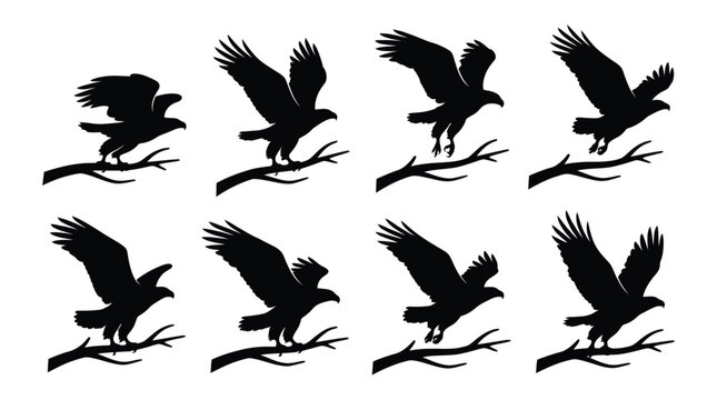 Black silhouette of eagles on tree branches Vector