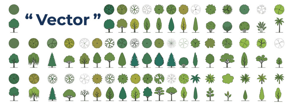 Architectural Tree Symbols Collection in Top and Front Views for Landscape Site Plans, Garden Layouts and Outdoor Design, Vector Illustration