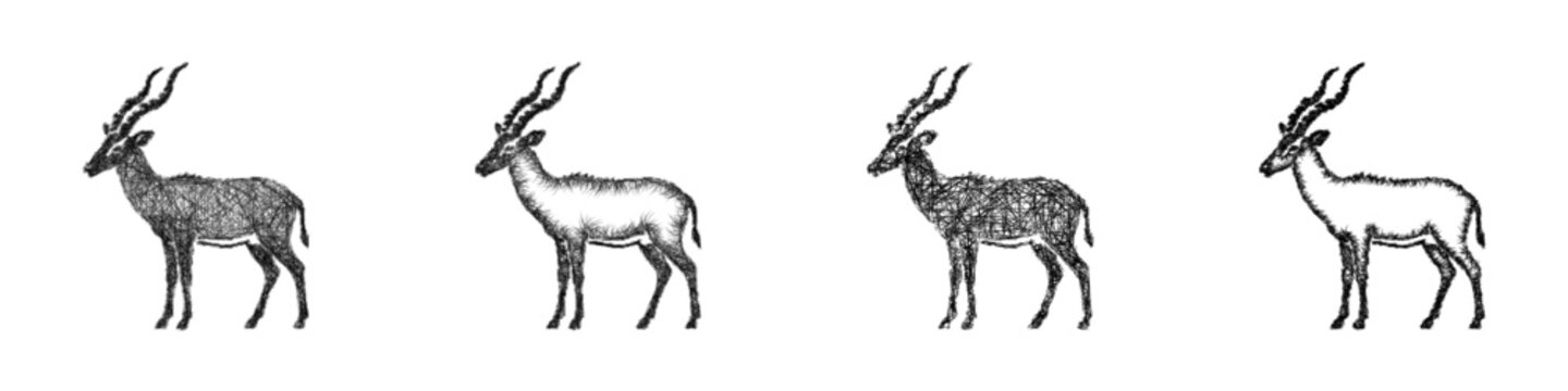 Sketch monochrome hartebeest icon design set