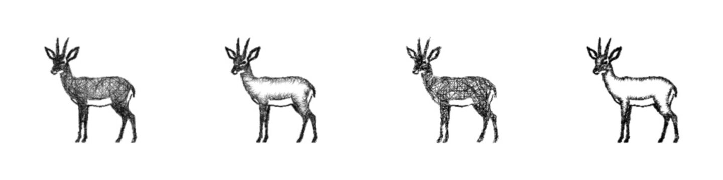 Sketch black and white steenbok icon design set