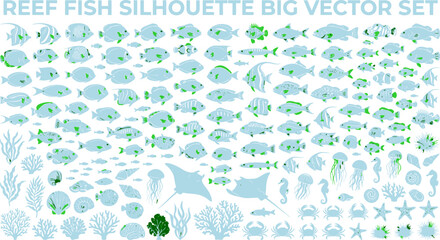 Tropical Reef Fish and Marine Life Silhouette Big Vector Set for Educational Posters, Aquarium Branding & Marine Conservation Graphics (EPS) © Muhammad