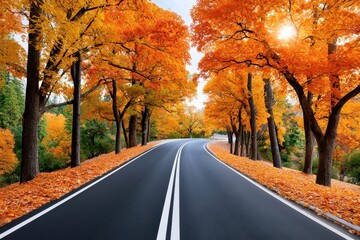 Fototapeta premium Scenic autumn road winding through golden trees with fallen leaves and warm sunlight