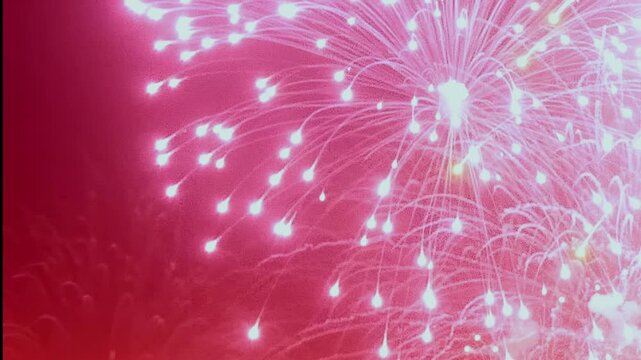 Crimson and roseate fireworks cascade across the night sky, painting ephemeral masterpieces. Witness the jubilant spectacle commemorating Christmas and New Year.