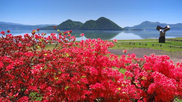 洞爺湖とツツジと中島