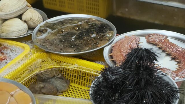 Fresh assortment of abalone, shrimp, shellfish, sea urchins and other marine delicacies displayed at traditional fish market in Busan, South Korea. Local seafood trade and Asian food culture