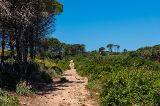 Beautiful landscape view from Bizerte, Tunisia	
