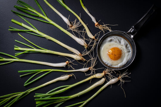 Fried egg in a small skillet with fresh spring onions on black background, closeup. Top view of sunny side up fried egg in a mini pan next to green scallions creatively arranged on a black table